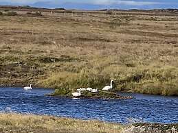 Álftártunga farm guesthouse