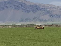 Álftártunga farm guesthouse