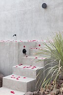 CASA DOM by HOLT