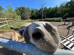 Modern Farm Home 2hr NYC BOS Peaceful Wifi