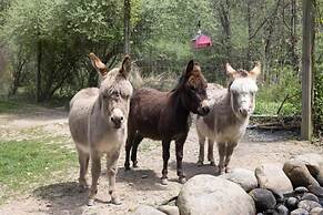 Modern Farm Home 2hr NYC BOS Peaceful Wifi