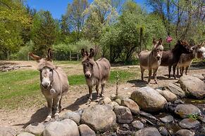 Modern Farm Home 2hr NYC BOS Peaceful Wifi