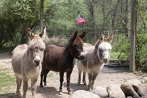 Tiny House 2 5 hrs NYC and Boston Waterfront Wifi