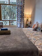 The VOID - Dharamshala