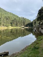 The VOID - Dharamshala