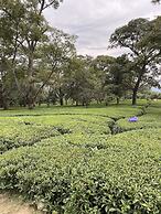 The VOID - Dharamshala