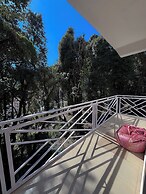 The VOID - Dharamshala