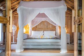 Luxury Villa Rose and Villa Rosebud