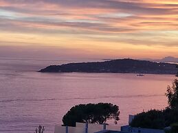 Costa Plana Collection