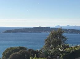 Costa Plana Collection