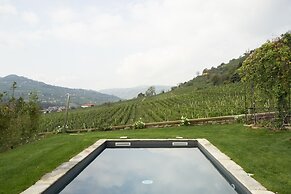 Vigne di Fagnano