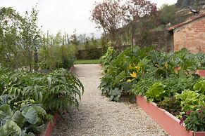 Vigne di Fagnano