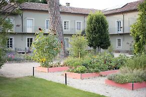 Vigne di Fagnano