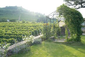 Vigne di Fagnano