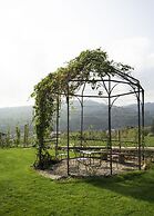 Vigne di Fagnano