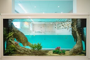 Pico Kids Pool Villa