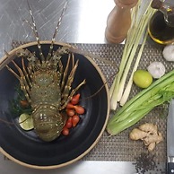 Holistic Villas River