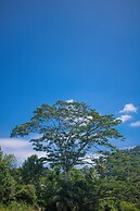 Holistic Villas River