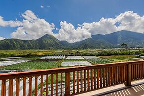 Teras Sawah Guest House Syariah