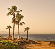 Eva Flats - Brand New Apts in Kapparis