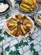 Sobral Rice Terraces View