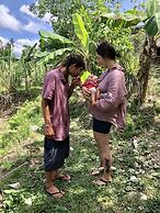 Sobral Rice Terraces View
