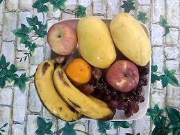 Sobral Rice Terraces View