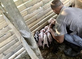Sobral Rice Terraces View