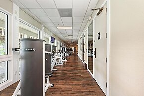 Longboat Key Cedars Beach House-pet Friendly-2 Minute To The Beach