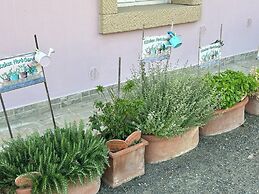 Fattoria Palazzeta Pet & Family Friendly