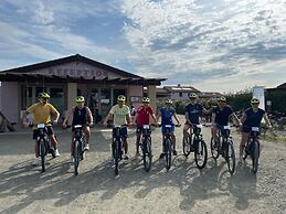 Fattoria Palazzeta Pet & Family Friendly