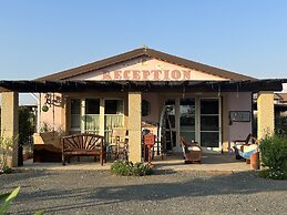 Fattoria Palazzeta Pet & Family Friendly