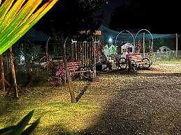 Fattoria Palazzeta Pet & Family Friendly