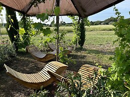 Fattoria Palazzeta Pet & Family Friendly