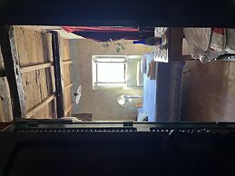 Preta Nera Van Gogh in Giuliano di Roma