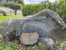 Preta Nera Van Gogh in Giuliano di Roma