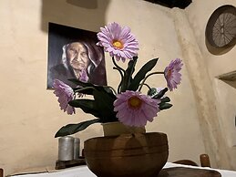 Preta Nera Van Gogh in Giuliano di Roma