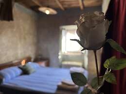 Preta Nera Van Gogh in Giuliano di Roma