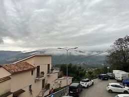 Preta Nera Van Gogh in Giuliano di Roma