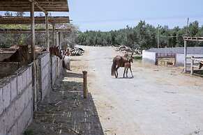 Acari Adventure & Ski Resort