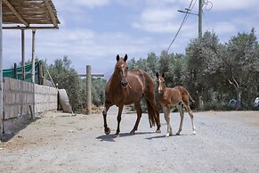 Acari Adventure & Ski Resort