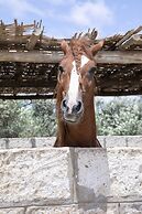 Acari Adventure & Ski Resort