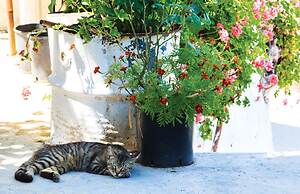 Loutsa Waterside in Vathy