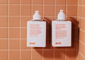 The Cheshire Cat Motel