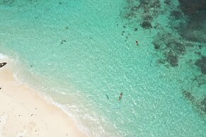 Welcome to Putuo Ecolodge, Hidden Germ of Solomon