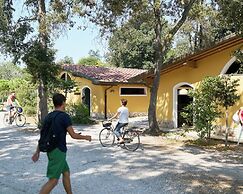 Comfortable Campsite-chalet G8 Tuscany Near sea