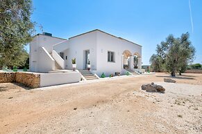 Stunning Villa Surrounded by Olive Trees - Beahost