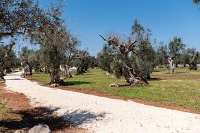 Stunning Villa Surrounded by Olive Trees - Beahost