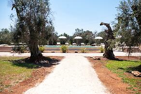 Stunning Villa Surrounded by Olive Trees - Beahost