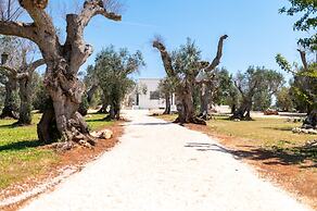 Stunning Villa Surrounded by Olive Trees - Beahost